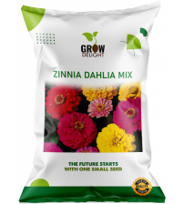 Grow Delight Imported Zinnia Dahlia Mix 100 Seeds Grow Delight Imported Zinnia Dahlia Mix 100 Seeds